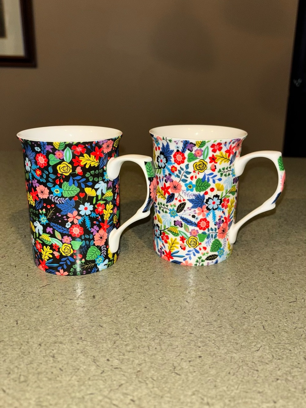 Stechcol Gracie Bone China Floral Mugs Pair Set of 2 Vibrant Flowers